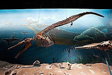 《命运2》销量不佳 Bungie解雇上百名员工